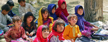 在线DDOS平台攻击